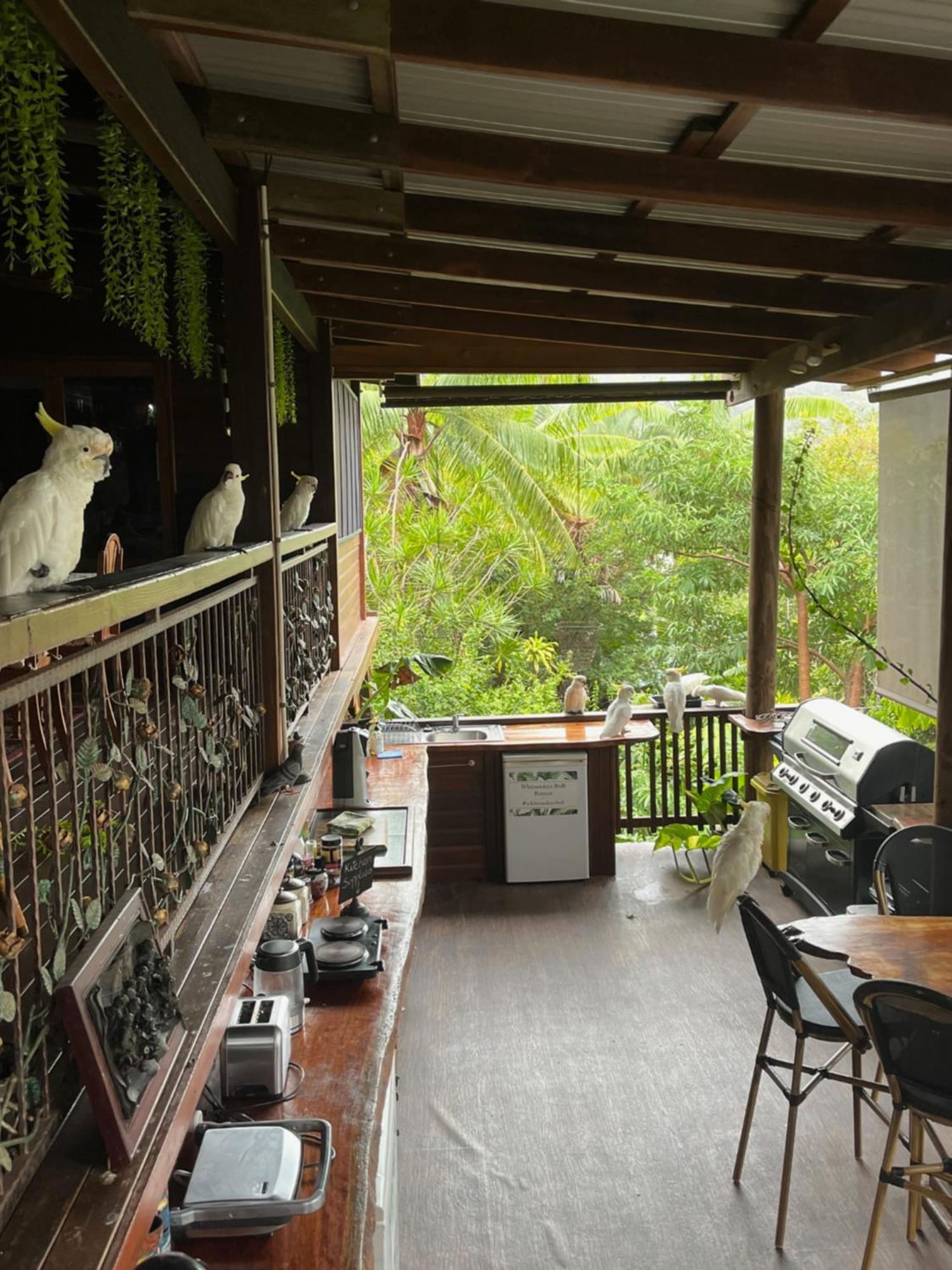 Whitsundays Bnb Retreat Airlie Beach Bagian luar foto