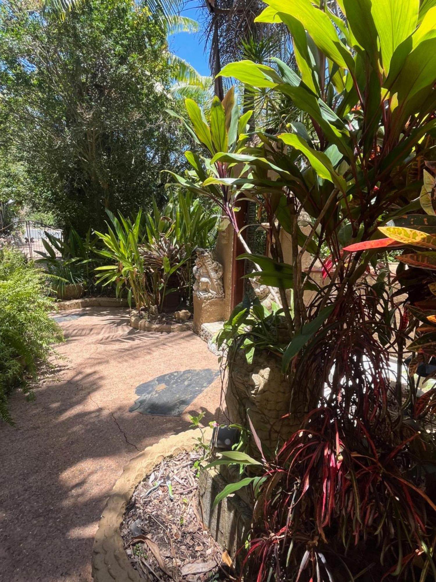 Whitsundays Bnb Retreat Airlie Beach Bagian luar foto