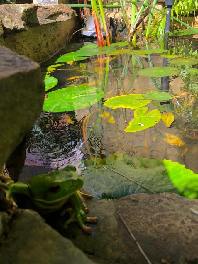 Whitsundays Bnb Retreat Airlie Beach Bagian luar foto